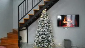 Nikolas Home - Likani