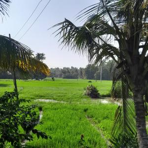 Field Island Villa - Ahangama