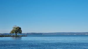 Harmony Boutique Villa