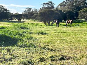 Secluded rural retreat in Southwest WA