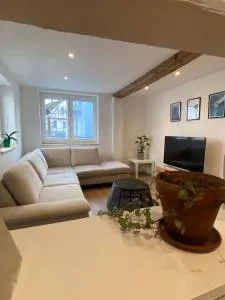 Appartement confortable - Schirrhoffen