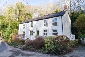 Rose in Vale Cottage - Perranzabuloe