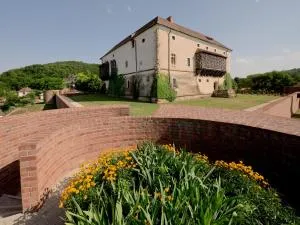 Pipo Várkastély, Ozora - Sáregres