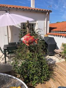 Appartements ღ L-Escale bleu • Villa avec Jacuzzi et Baby-foot : photos des chambres