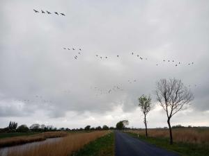 Fischerhaus am Deich 45233