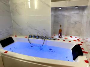 Le Rex - Bel appt avec sauna