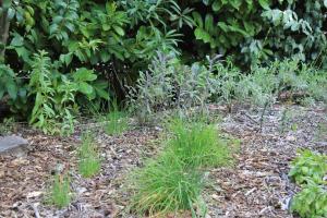 Maisons de vacances Lou Petarel Charming house with shared pool nature an calm in Provence : photos des chambres