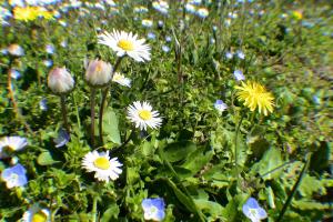 Maisons de vacances L'Oubradou Mas de charme shared pool in Provence nature and calm : photos des chambres