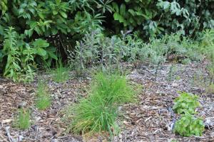 Maisons de vacances L'Oubradou Mas de charme shared pool in Provence nature and calm : photos des chambres