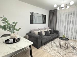 Cozy Cityscape Suites - near Coresi Mall #Brasov