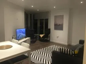 GRAND SERVICED APARTMENT***** - 克罗伊登