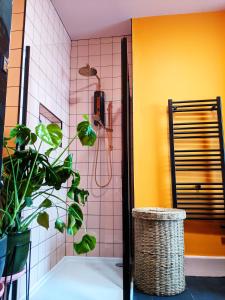 pet + kid friendly free parking v pink house!