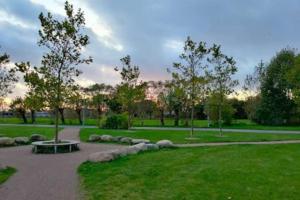 Tiny Home in a Tiny Town