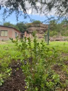 La Reserva - 维拉帕尔克西基曼