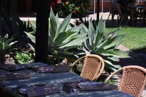 Hostal Restaurante La Ilusion