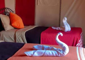 Desert Luxury Tented & Activities