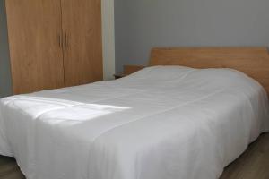 Ronce-les-Bains - APPARTEMENT REZ-DE-CHAUSSÉE droit - 90m de la PLAGE