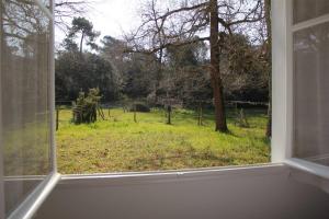 Appartements Ronce-les-Bains - APPARTEMENT REZ-DE-CHAUSSEE gauche - 90m de la PLAGE : photos des chambres