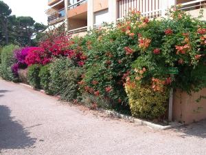 Hyères Port : T2 avec Loggia, WIFI, Parking, Climatisation, 4 Pers., Proche Plaisance - FR-1-335-164