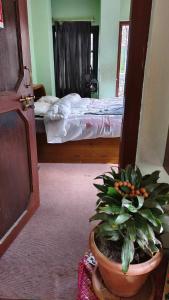 Monkey Temple Homestay