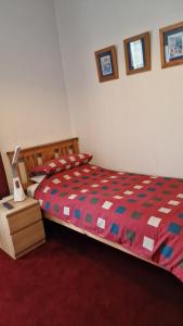 Single Room with External Private  Bathroom room in Mackenzie Guest house