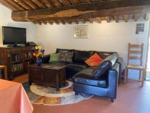 Gîte Olives en Provence