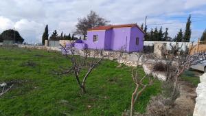Jerash mountain studio chalet شاليه جبال جرش و عجلون
