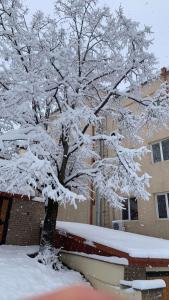 Apartment Chavchavadze 5