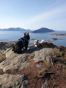 Leilighet nær flyplass og Ålesund sentrum
