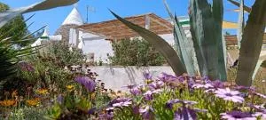 Estate nel trullo - Villa Castelli