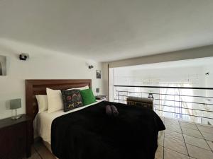 Loft Plaza Mayor 3 Temporal