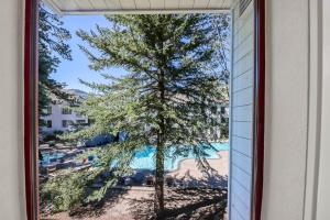 Palisades Tahoe Lodge Rentals Studio #203