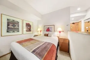 Studio #234 - Alpine Meadows