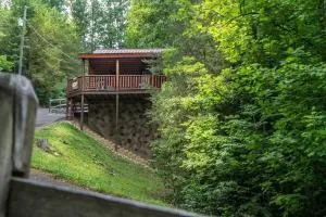 Holly Tree Hideaway - Semi Secluded Mtn Setting - Shady Grove