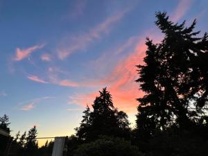 Spacious Retreat w Hot Tub. Perfect for Families