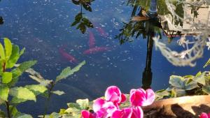 Villa Camilla - TINY - EXCLUSIVE POOL