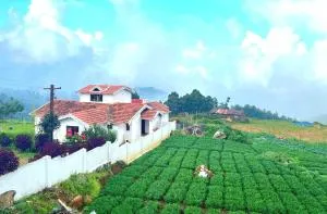 VERMONT HOMe STAY - Naduvattam