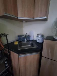 CEBU AVIDA Riala T3 1112(Water Front Casino)