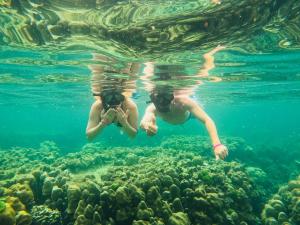 Beautiful Flower Resort