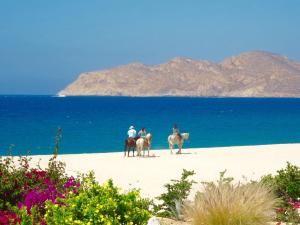 Beachfront condo in Los Cabos, Mexico