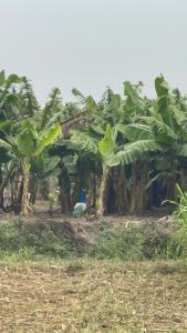 Tekri Farms and Retreat