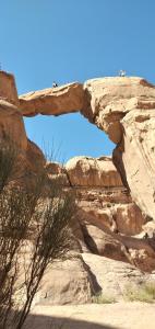 Bedouin Secret Camp