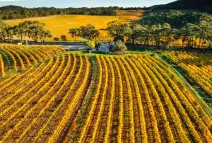 Skillogalee Estate - Spalding