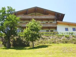 Apartment Kreidl - Hippach