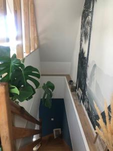 B&B / Chambres d'hotes LA CORENTINE : photos des chambres