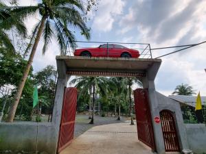 California Breeze Campsite