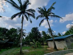 California Breeze Campsite