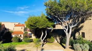 Appartements Appartement DOLCE 9 Lumio : photos des chambres