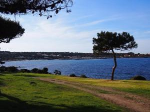 Appartements Appartement DOLCE 9 Lumio : photos des chambres