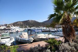 Appartements Appartement DOLCE 9 Lumio : photos des chambres